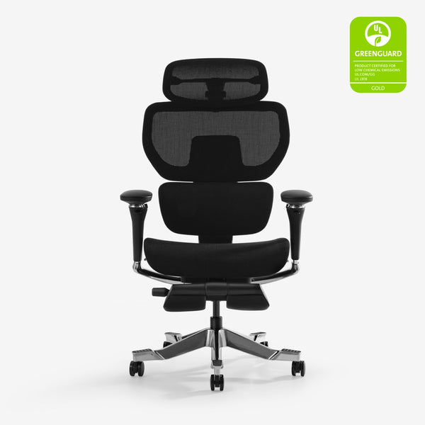 Premium Back Support Ergo Chair (C7 Morpher)