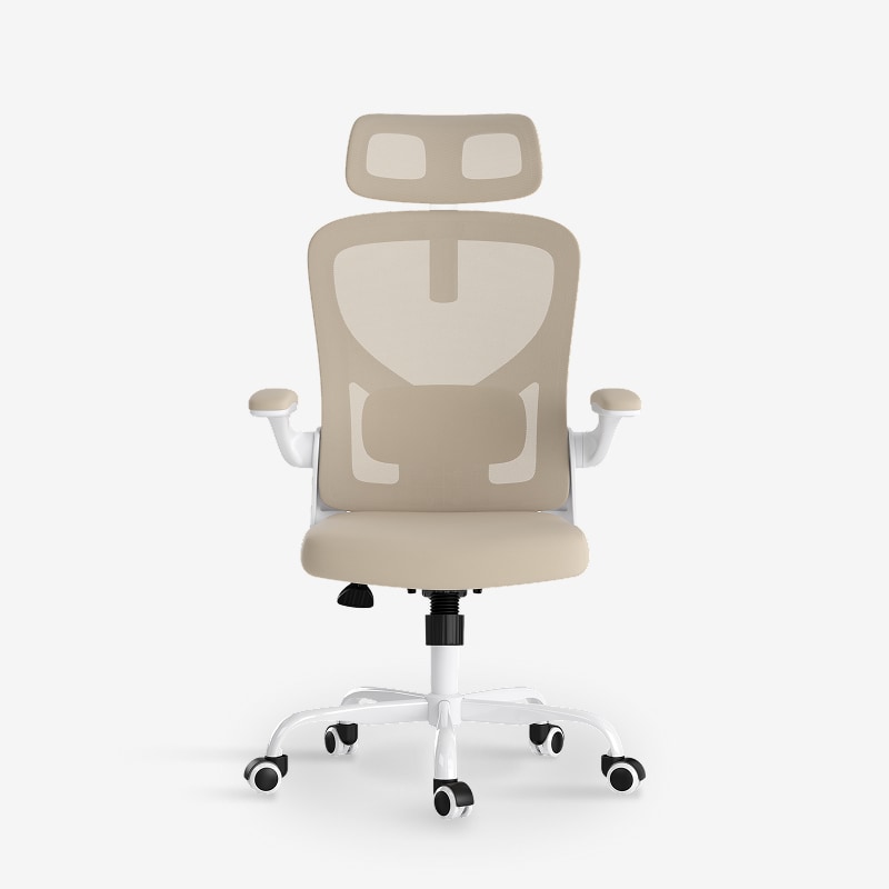 Ergonomic Office Chair (C2)