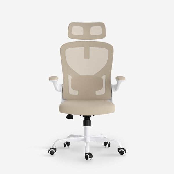 Ergonomic Office Chair (C2)