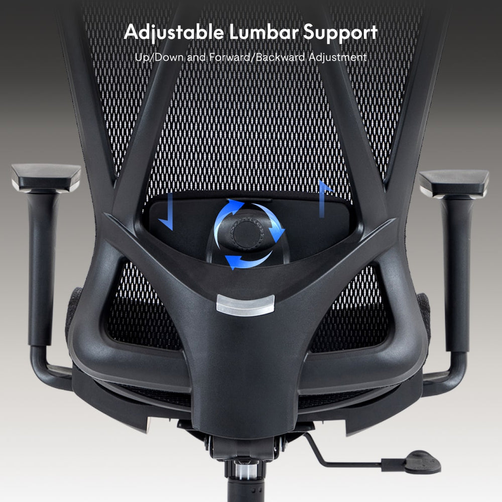Standard Ergonomic Office Chair (C5)