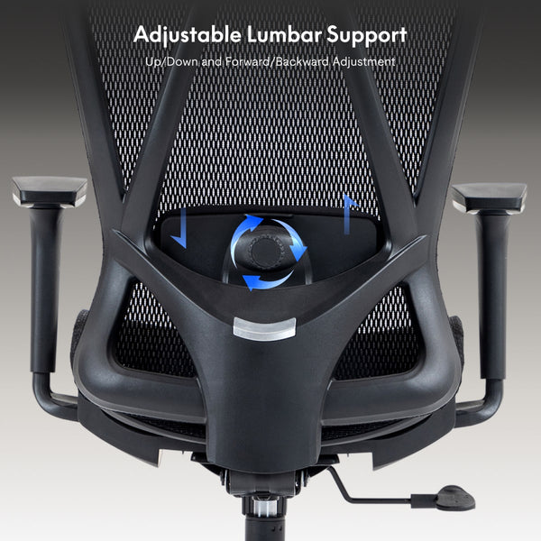 Standard Ergonomic Office Chair (C5)